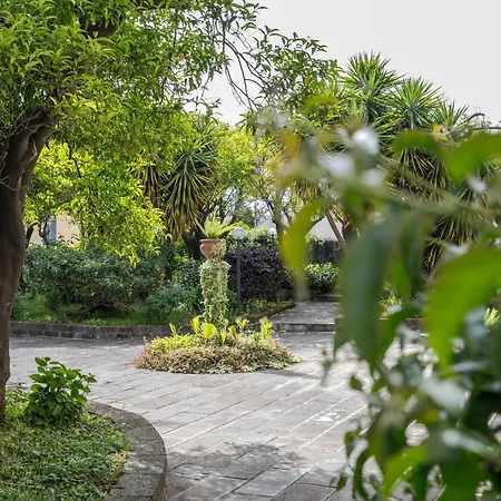 De Vivo Realty - Agatina *